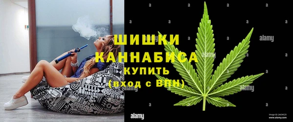 сатива Верхний Тагил
