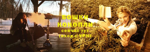 сатива Верхний Тагил