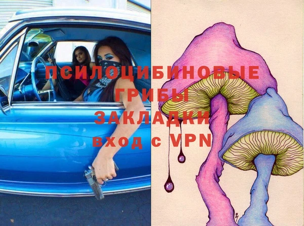 дмт Верея