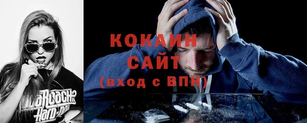 сатива Верхний Тагил